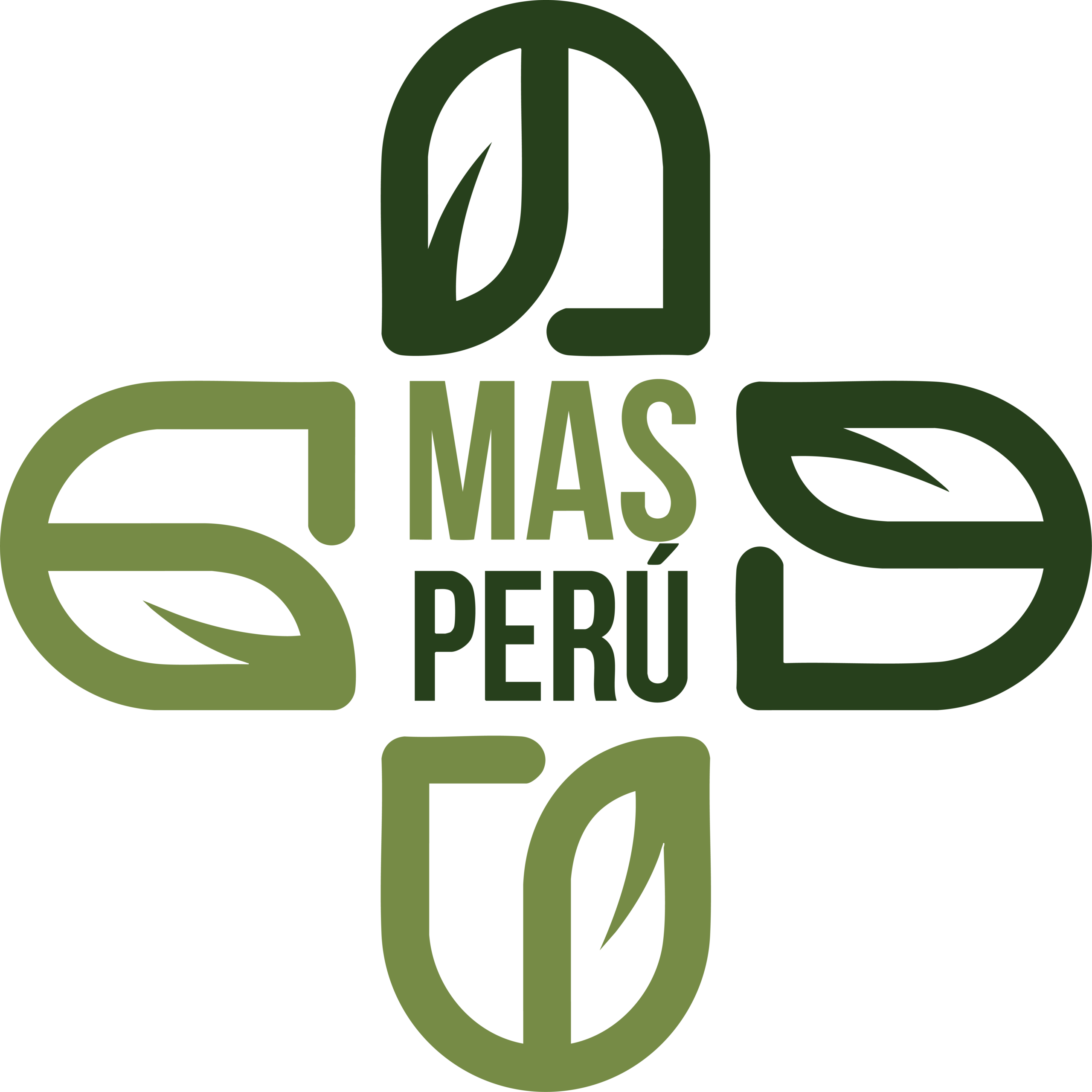 MAS PERÚ